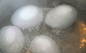 electric kettle for boiling eggs